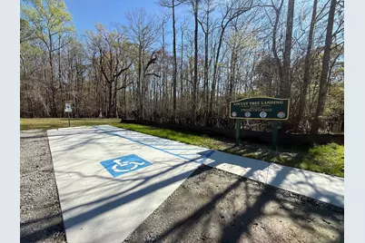 Tbd Locust Tree Ct., Gresham, SC 29546 - Photo 3