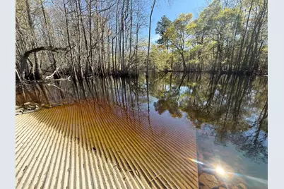 Tbd Locust Tree Ct., Gresham, SC 29546 - Photo 5