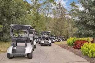 1028 Cherrystone Loop, Conway, SC 29526 - Photo 35