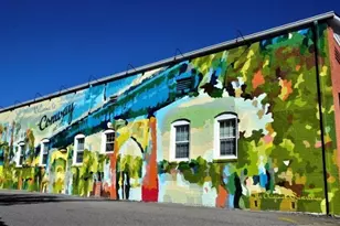 1028 Cherrystone Loop, Conway, SC 29526 - Photo 39