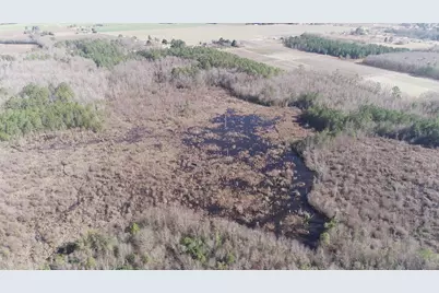 0 Cannery Rd, Dalzell, SC 29040 - Photo 7