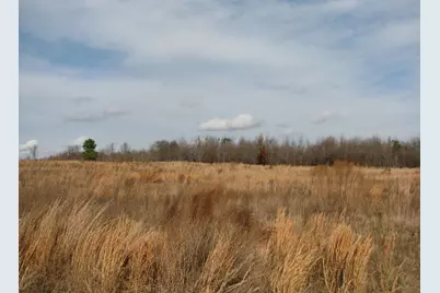 0 Cannery Rd, Dalzell, SC 29040 - Photo 15