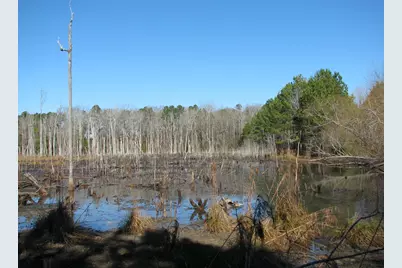 0 Cannery Rd, Dalzell, SC 29040 - Photo 41