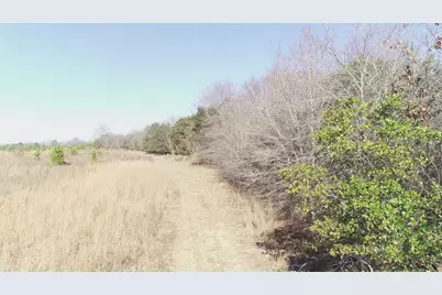 0 Cannery Rd, Dalzell, SC 29040 - Photo 5