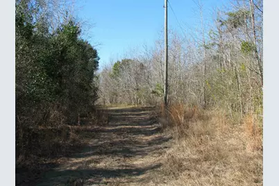 0 Cannery Rd, Dalzell, SC 29040 - Photo 47