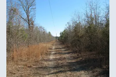 0 Cannery Rd, Dalzell, SC 29040 - Photo 49