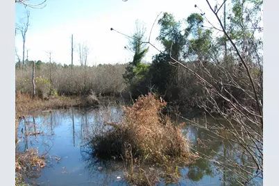 0 Cannery Rd, Dalzell, SC 29040 - Photo 35