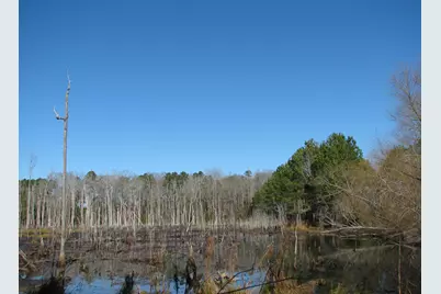 0 Cannery Rd, Dalzell, SC 29040 - Photo 43