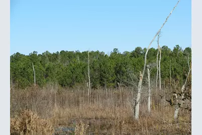 0 Cannery Rd, Dalzell, SC 29040 - Photo 29