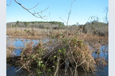 0 Cannery Rd, Dalzell, SC 29040 - Photo 33