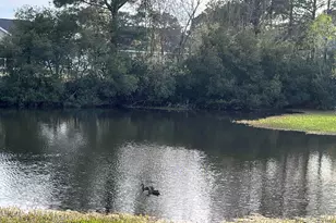 2719 Woodcreek Ln, Conway, SC 29526 - Photo 33