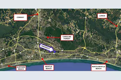 1430 48th Ave. N #Suite 103, Myrtle Beach, SC 29577 - Photo 3