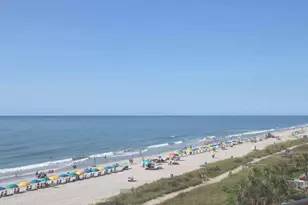 1022 Cherrystone Loop, Conway, SC 29526 - Photo 39