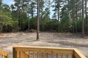 265 Apple Valley Rd, Loris, SC 29569 - Photo 33