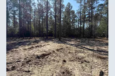 265 Apple Valley Rd., Loris, SC 29569 - Photo 37