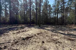 265 Apple Valley Rd, Loris, SC 29569 - Photo 37