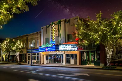 3124 Slade Dr., Conway, SC 29526 - Photo 35