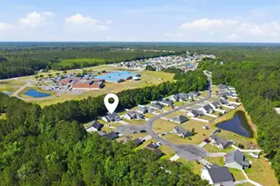 242 Blue Jacket Dr, Galivants Ferry, SC 29544 - Photo 25