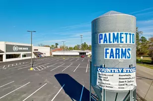 1242 Cappin Ln, Aynor, SC 29511 - Photo 25