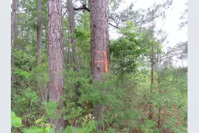 T.B.D. Finnell Rd., Little River, SC 29566 - Photo 7