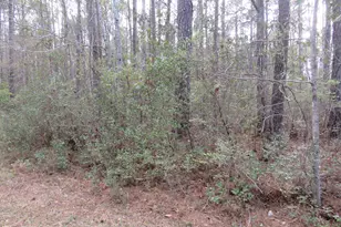 T B D Finnell Rd, Little River, SC 29566 - Photo 1