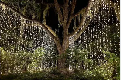 174 Westfield Circle, Conway, SC 29526 - Photo 25