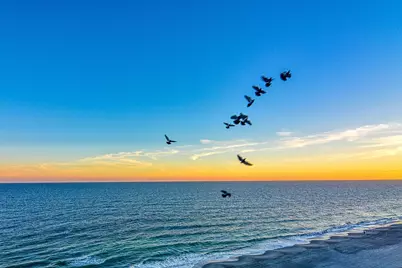 1501 Ocean Blvd. S #1131, Myrtle Beach, SC 29577 - Photo 37