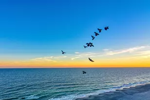 1501 Ocean Blvd S, Myrtle Beach, SC 29577 - Photo 37