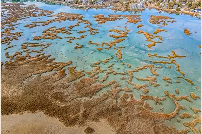 664 S Dogwood Dr., Garden City Beach, SC 29576 - Photo 73