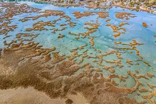 664 S Dogwood Dr, Garden City Beach, SC 29576 - Photo 73