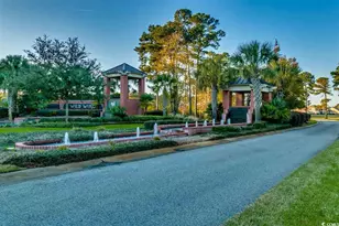 2104 Wood Stork Dr, Conway, SC 29526 - Photo 39