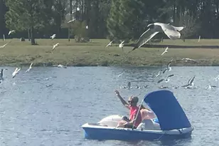 2104 Wood Stork Dr, Conway, SC 29526 - Photo 61