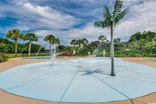 2104 Wood Stork Dr, Conway, SC 29526 - Photo 47