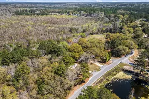 3626 Half Pint Rd, Longs, SC 29568 - Photo 27