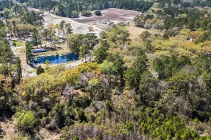 3626 Half Pint Rd, Longs, SC 29568 - Photo 33