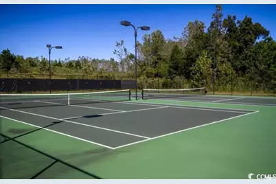 8031 Bird Key Ct., Myrtle Beach, SC 29579 - Photo 19