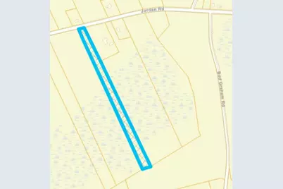 Tbd Jordan Rd., Galivants Ferry, SC 29544 - Photo 13