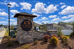 174 Honey Jar Wy, Longs, SC 29568 - Photo 29