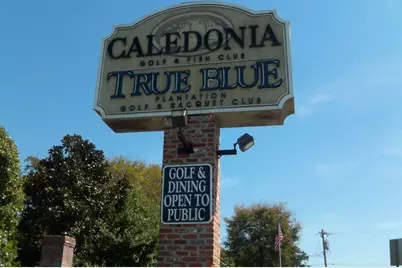 1123 Blue Stem Dr. #30C True Blue, Pawleys Island, SC 29585 - Photo 23