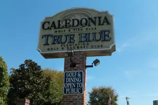 1123 Blue Stem Dr, Pawleys Island, SC 29585 - Photo 23