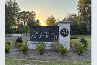 159 Harvest Gold Dr., Conway, SC 29526 - Photo 3