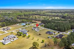 687 Tiger Paw Rd, Loris, SC 29569 - Photo 53