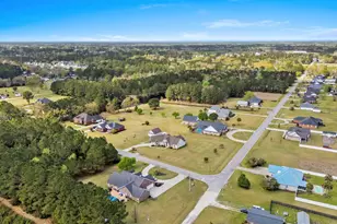 687 Tiger Paw Rd, Loris, SC 29569 - Photo 55