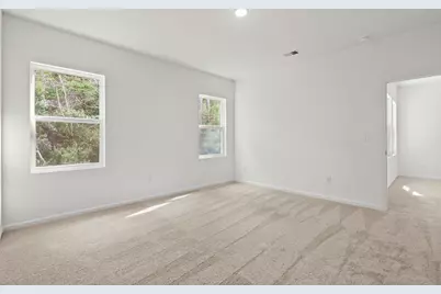 513 Silver Pidgeon St, Aynor, SC 29511 - Photo 19