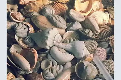 14290 Ocean Highway #411, Pawleys Island, SC 29585 - Photo 49