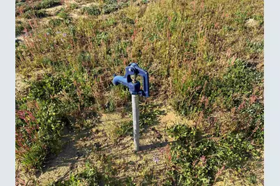 9.06 Acres-1829 S Pamplico Hwy., Pamplico, SC 29583 - Photo 15