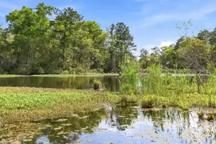 172 Half Moon Trail, Pawleys Island, SC 29585 - Photo 61