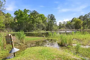 172 Half Moon Trail, Pawleys Island, SC 29585 - Photo 73
