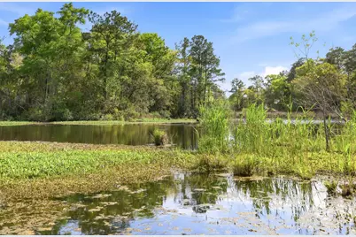 172 Half Moon Trail, Pawleys Island, SC 29585 - Photo 61