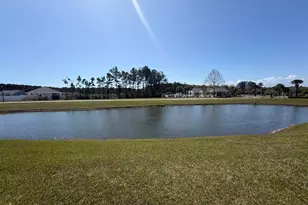 110 S Shore Blvd, Longs, SC 29568 - Photo 11